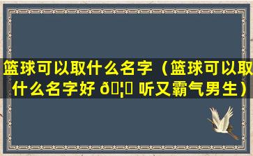 篮球可以取什么名字（篮球可以取什么名字好 🦍 听又霸气男生）